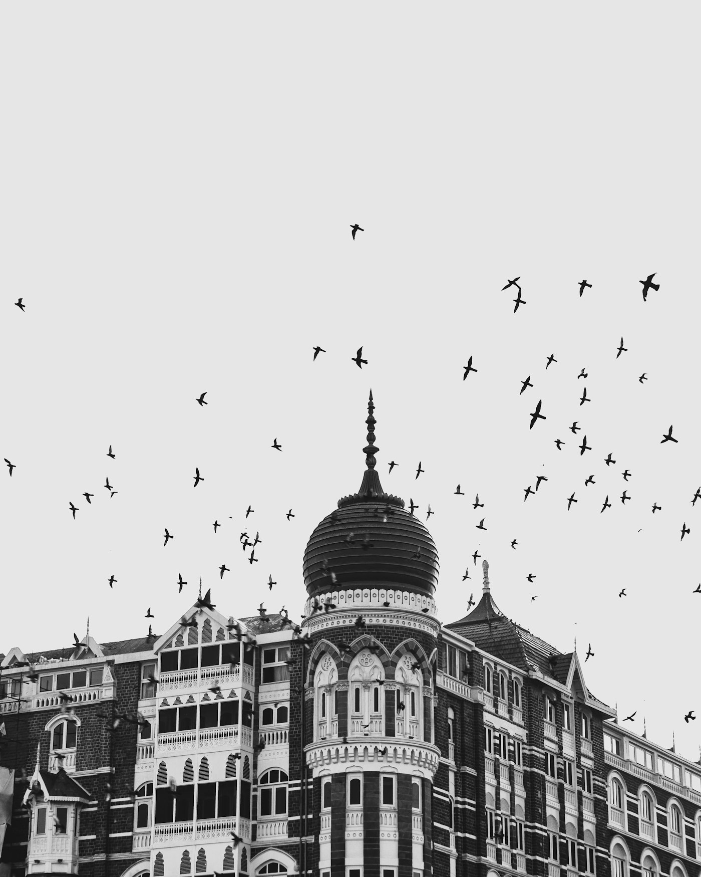 Birds over a heritage Bombay building